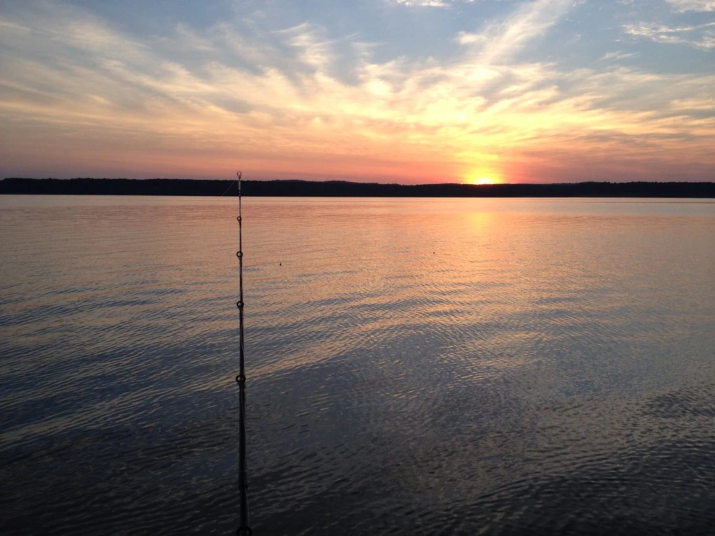 Fishing Rod Maintenance Guide: How to Clean, Repair and Extend Rod Life