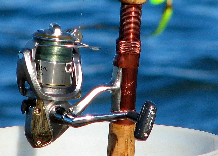 How to Choose the Right Fishing Reel